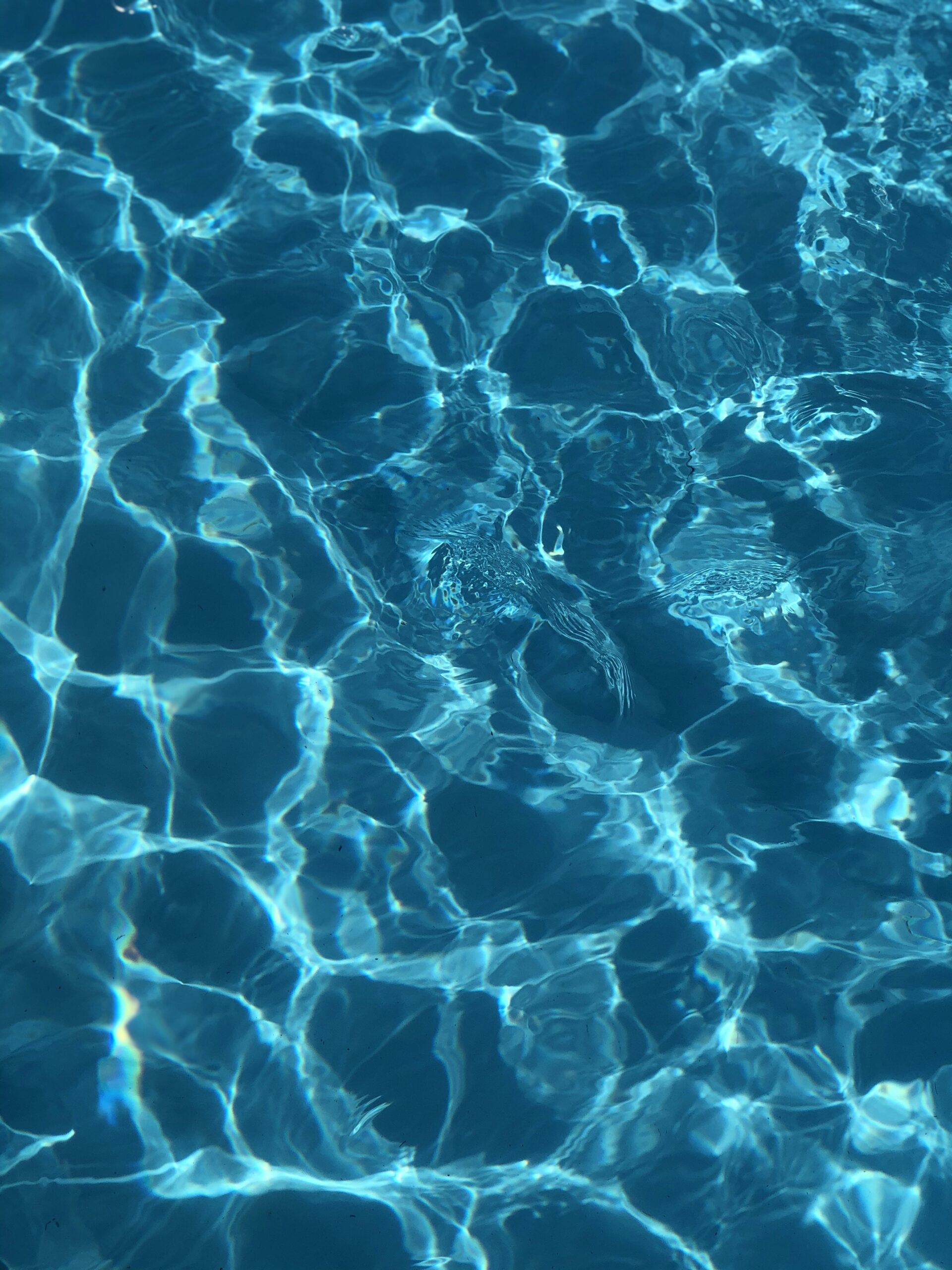 The Essential Maintenance Guide for Your Swimming Pool